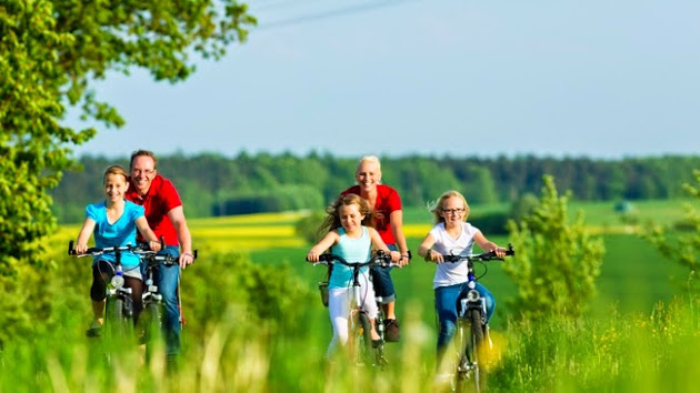 지지망과 활기찬 일상